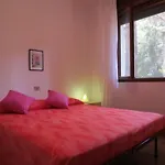 Charming Apartment With Fenced Garden