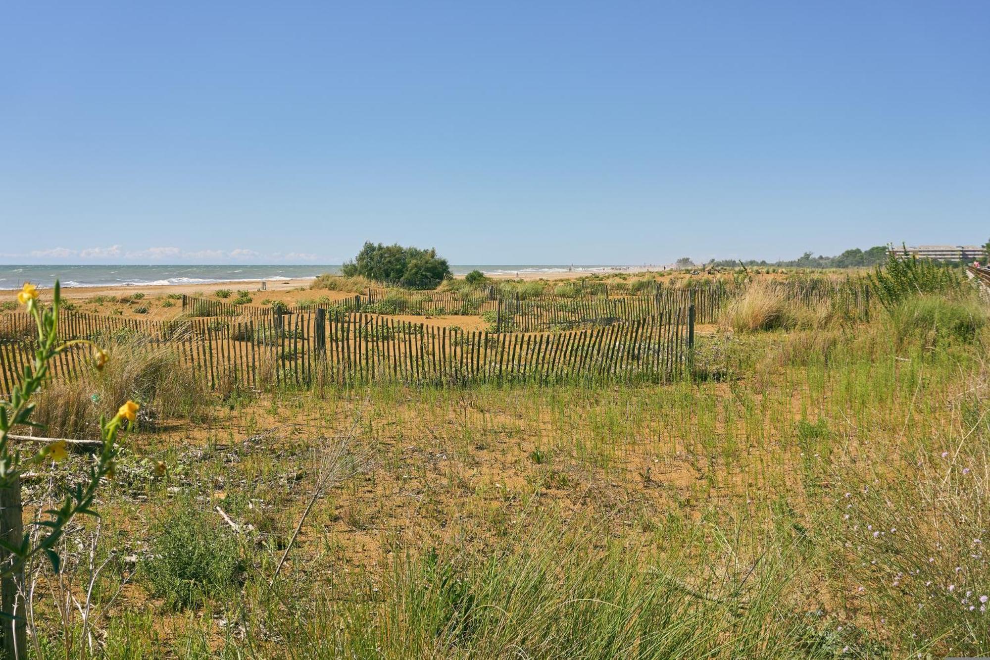 Charming With Fenced Garden *